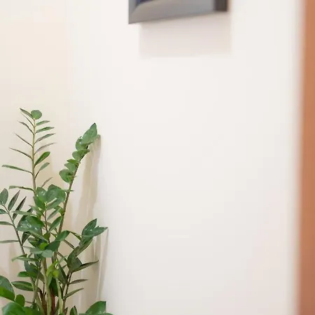 Argostoli Central Apartment *