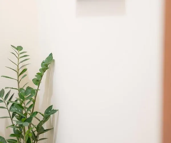 Argostoli Central Apartment *